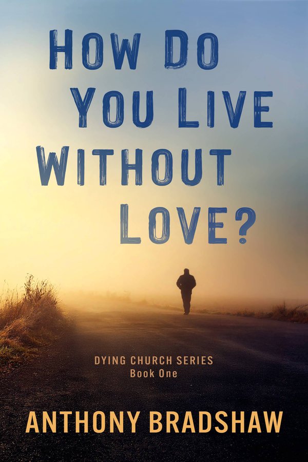 How Do You Live Without Love? cover