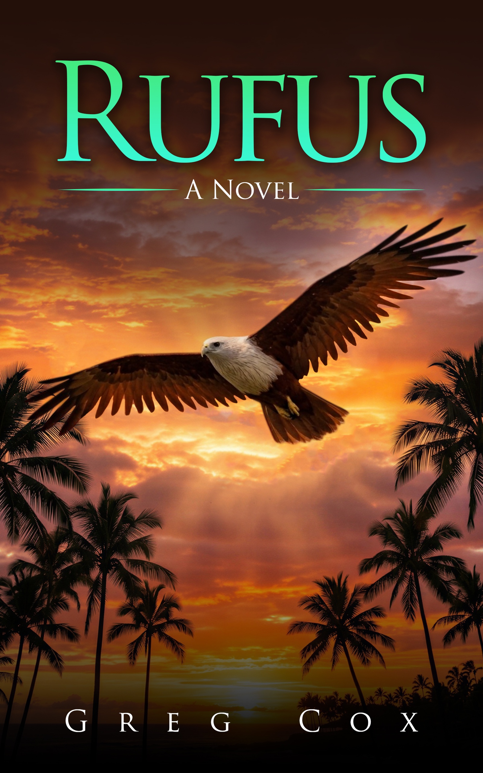 Rufus cover