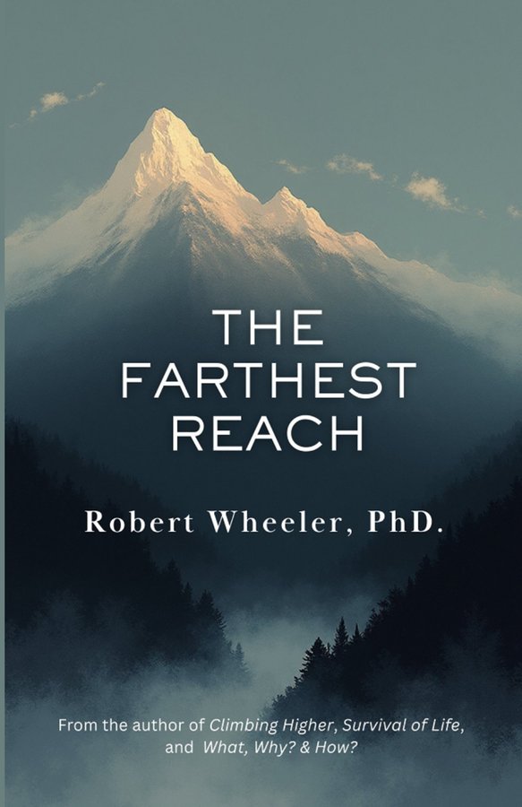 The Farthest Reach cover